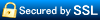 Secured by SSL：このフォームはSSLで保護されています。